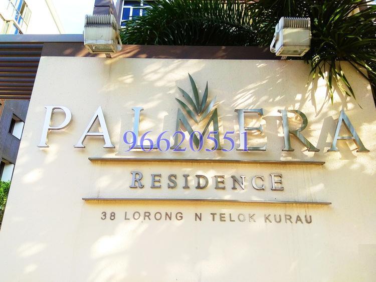 Palmera Residence (D15), Apartment #172574062